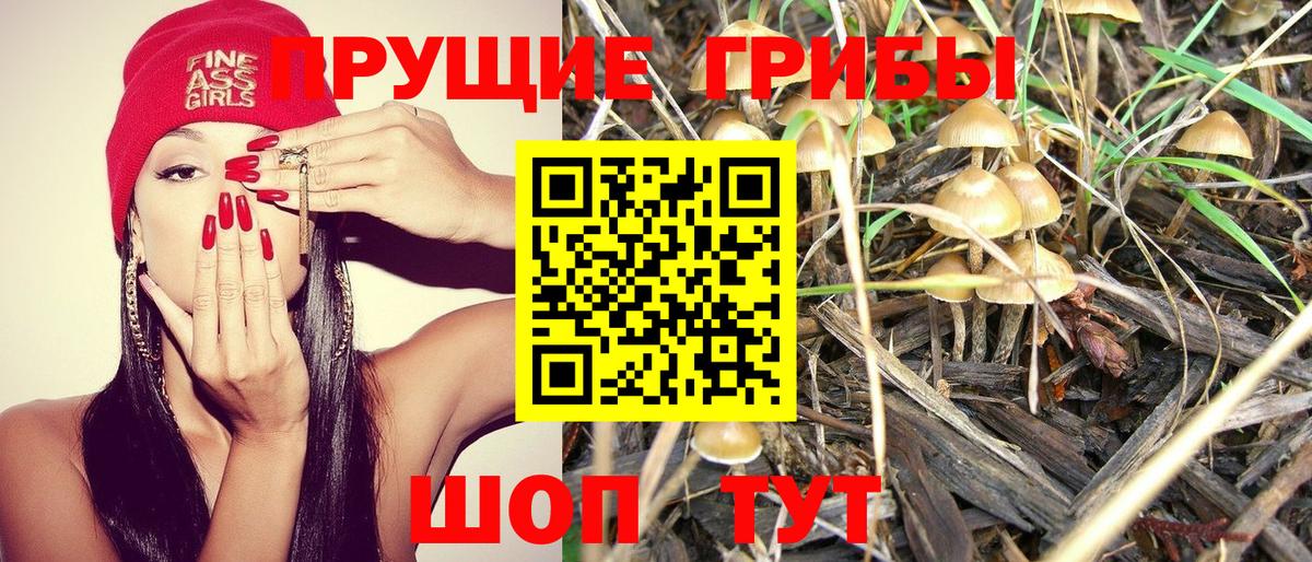Каспийск  Псилоцибиновые грибы Cubensis  Вход с VPN 